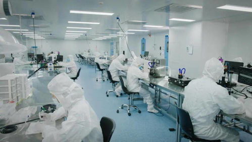 北芯生命遞交招股書 擬募資12.74億元，加速新材料技術研發與產業化進程